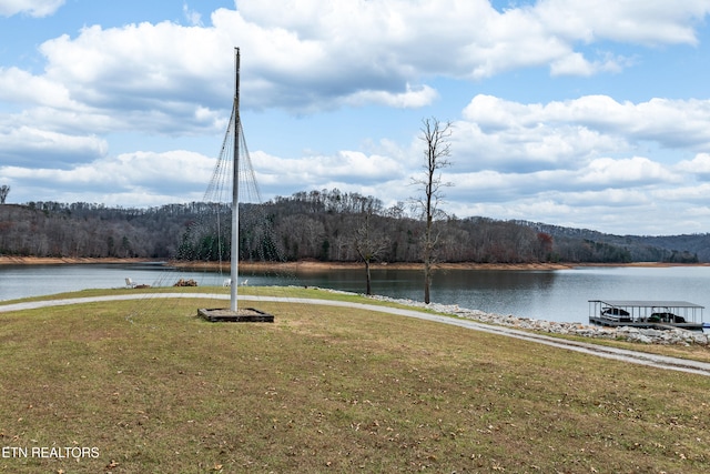 view of water feature