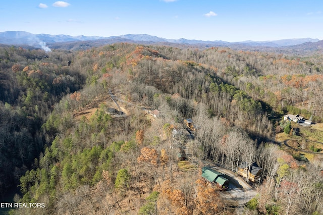 birds eye view of property with a mountain view