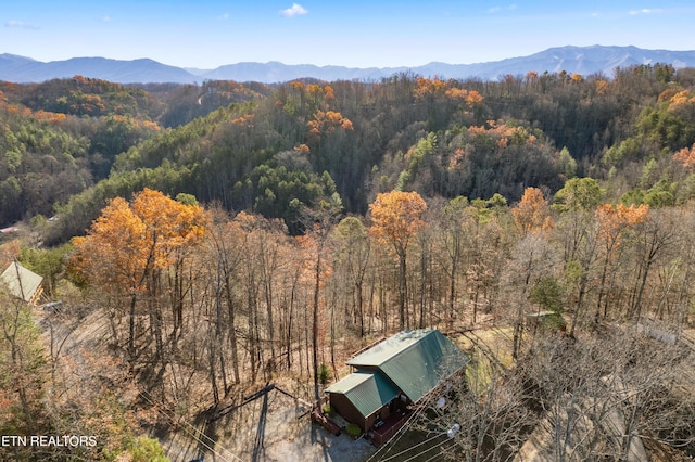 bird's eye view featuring a mountain view