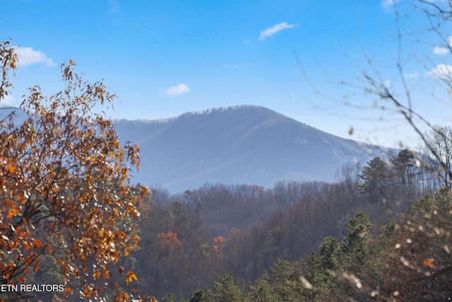 view of mountain feature