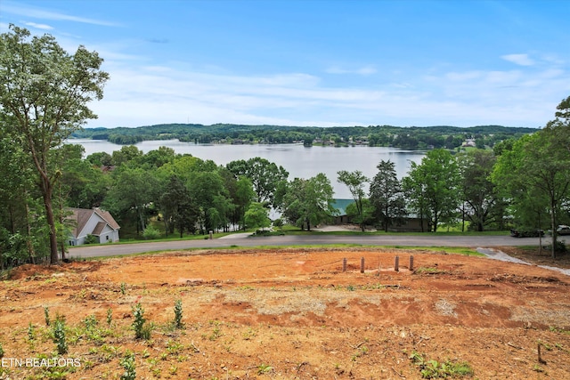 900 Harbour View Hwy, Lenoir City, TN 37772 - photo 1