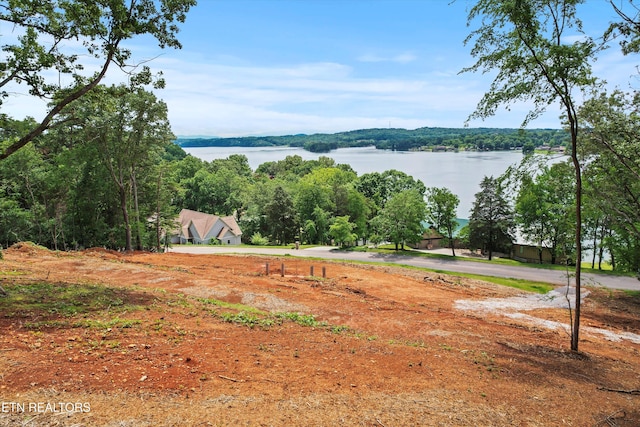 900 Harbour View Hwy, Lenoir City, TN 37772 - photo 2