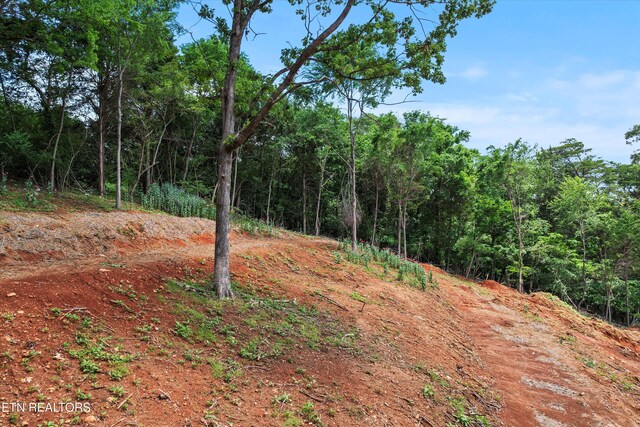 900 Harbour View Hwy, Lenoir City, TN 37772 - photo 3