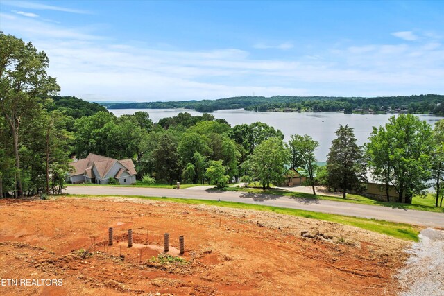 900 Harbour View Hwy, Lenoir City, TN 37772 - photo 4