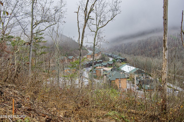 Listing photo 2 for LOT9 N Mountain Trl, Gatlinburg TN 37738