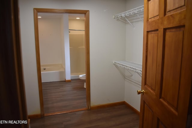 spacious closet featuring dark hardwood / wood-style floors