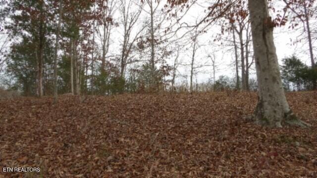 39 Sunset Ridge Ln, Hilham TN, 38568 land for sale