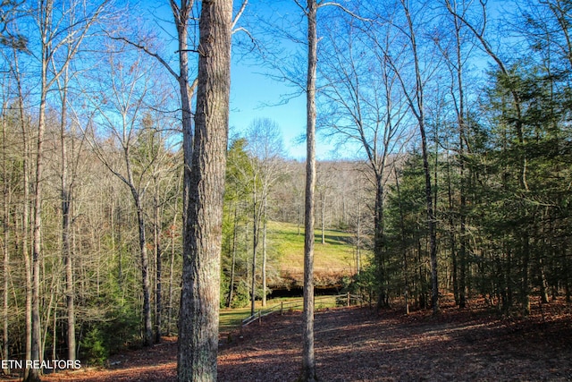 view of local wilderness