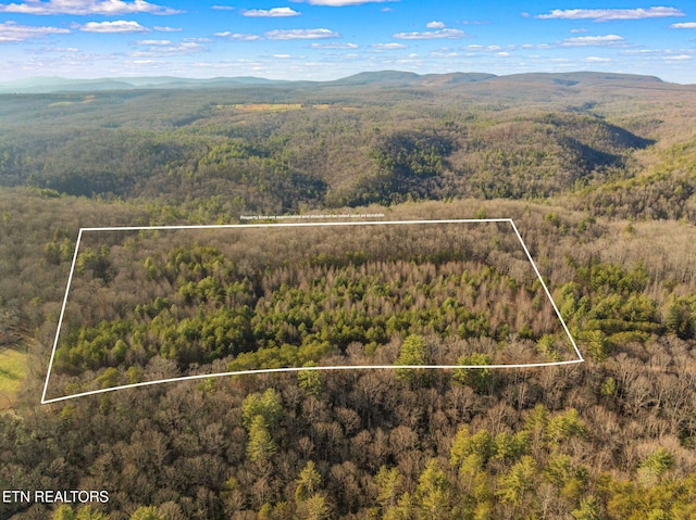 Grievers Chapel Rd, Rockwood TN, 37854 land for sale