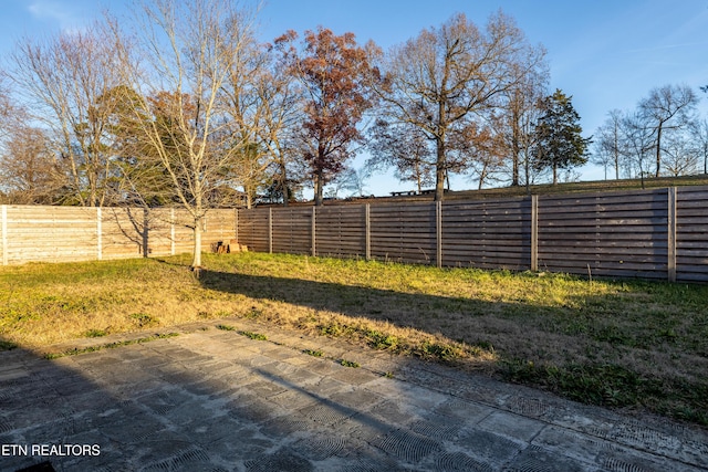 view of yard featuring a patio area