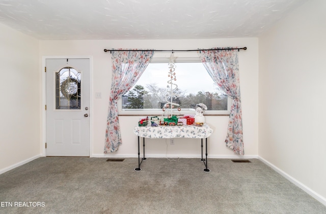 view of carpeted foyer