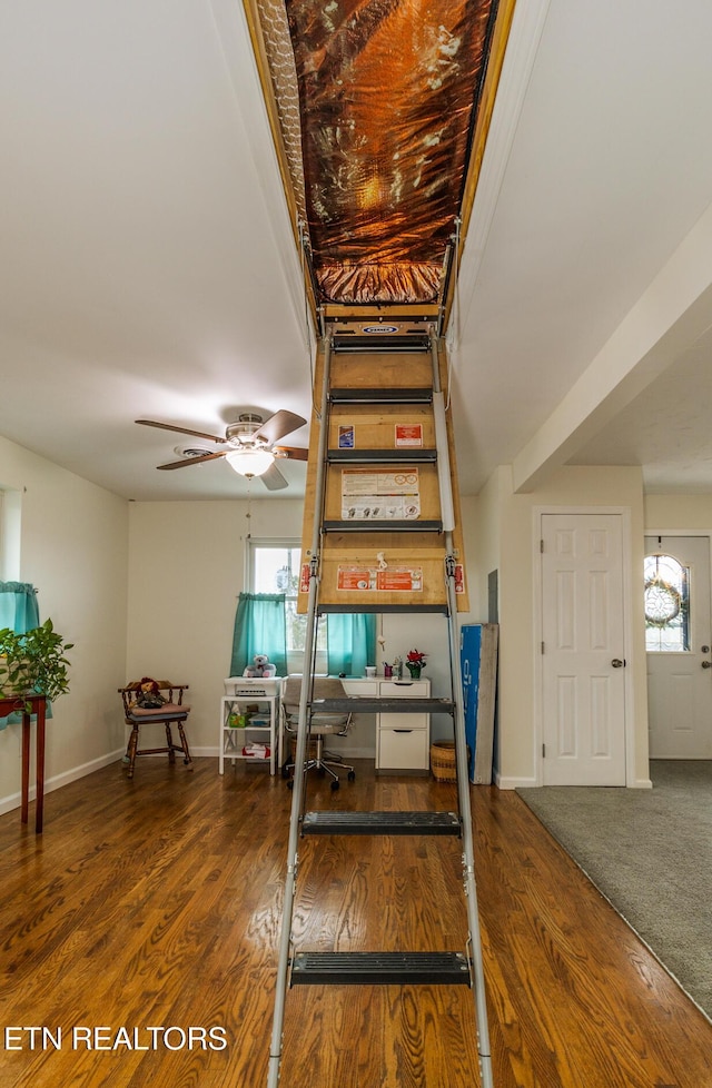 stairway with hardwood / wood-style flooring, ceiling fan, and a healthy amount of sunlight