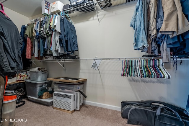 spacious closet featuring carpet