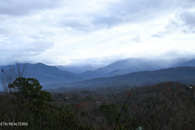 view of mountain feature