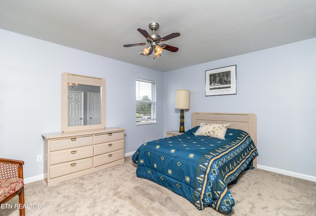427 Montana Ct, Seymour, TN 37865 - photo 21
