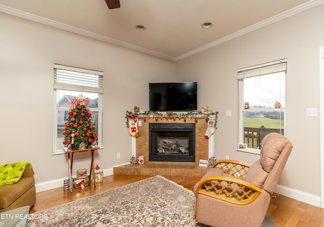 427 Montana Ct, Seymour, TN 37865 - photo 10
