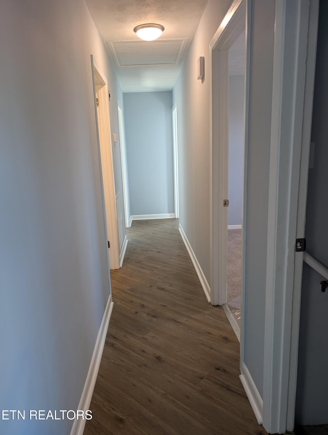 corridor featuring dark hardwood / wood-style floors