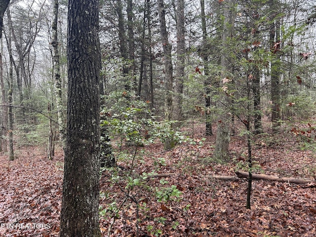 Northrup Falls Rd, Jamestown, TN 38556 - photo 9