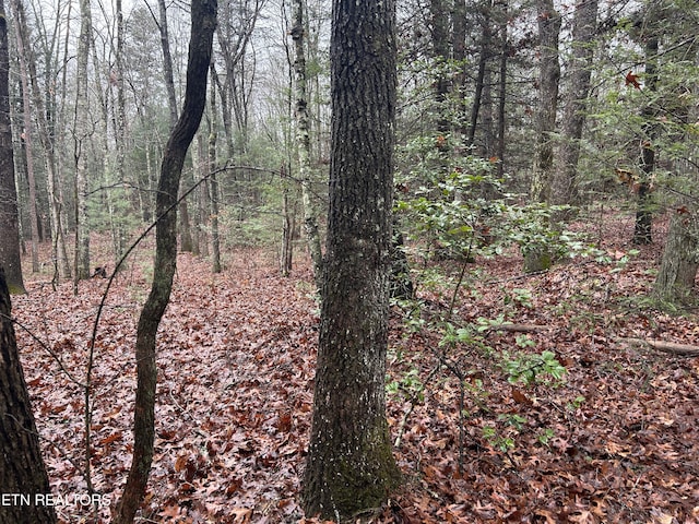 Northrup Falls Rd, Jamestown, TN 38556 - photo 10