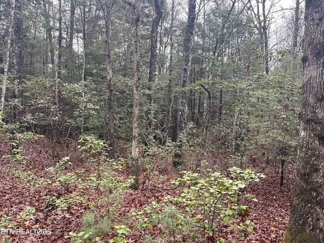Northrup Falls Rd, Jamestown, TN 38556 - photo 11