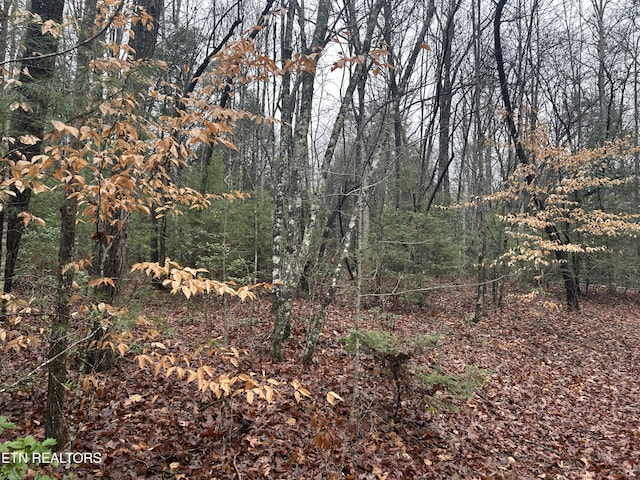 Northrup Falls Rd, Jamestown, TN 38556 - photo 12