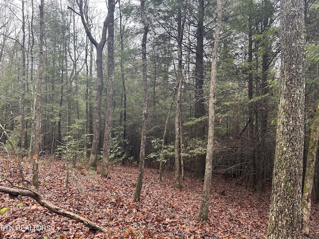 Northrup Falls Rd, Jamestown, TN 38556 - photo 13