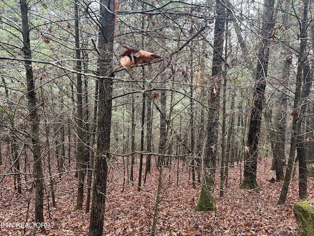 Northrup Falls Rd, Jamestown, TN 38556 - photo 14