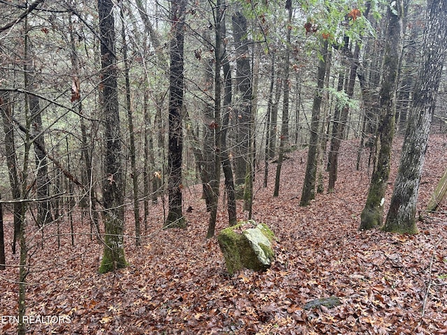 Northrup Falls Rd, Jamestown, TN 38556 - photo 15