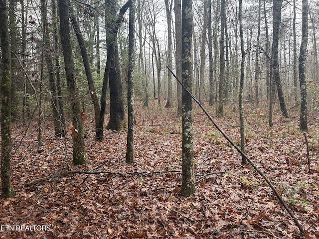 Northrup Falls Rd, Jamestown, TN 38556 - photo 16