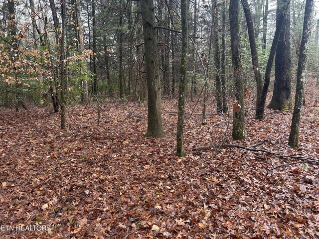 Northrup Falls Rd, Jamestown, TN 38556 - photo 17
