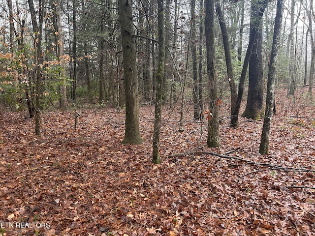 Northrup Falls Rd, Jamestown, TN 38556 - photo 18
