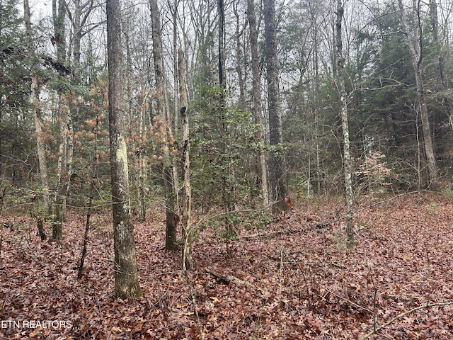 Northrup Falls Rd, Jamestown, TN 38556 - photo 19