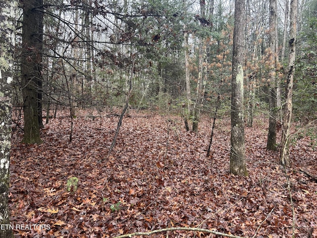 Northrup Falls Rd, Jamestown, TN 38556 - photo 20