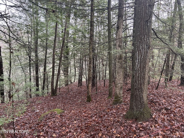 Northrup Falls Rd, Jamestown, TN 38556 - photo 22