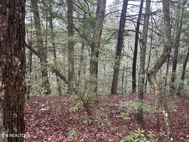 Northrup Falls Rd, Jamestown, TN 38556 - photo 23
