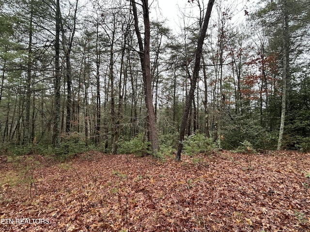Northrup Falls Rd, Jamestown, TN 38556 - photo 24