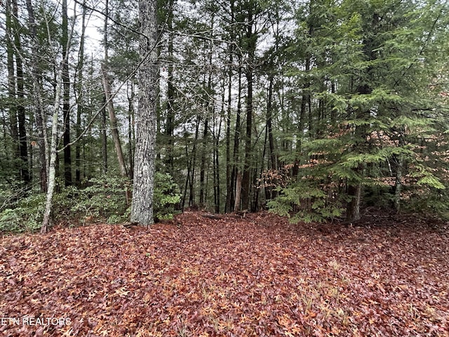 Northrup Falls Rd, Jamestown, TN 38556 - photo 25