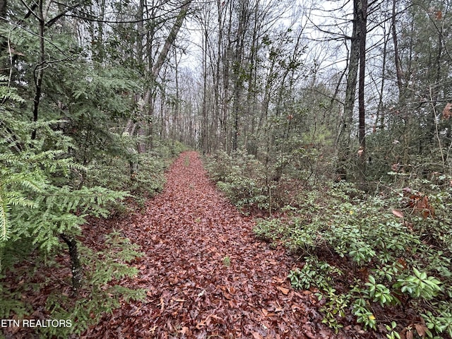 Northrup Falls Rd, Jamestown, TN 38556 - photo 26