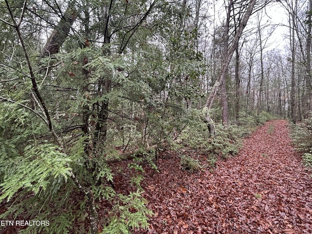Northrup Falls Rd, Jamestown, TN 38556 - photo 28