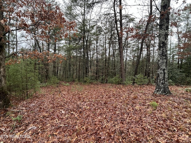 Northrup Falls Rd, Jamestown, TN 38556 - photo 29
