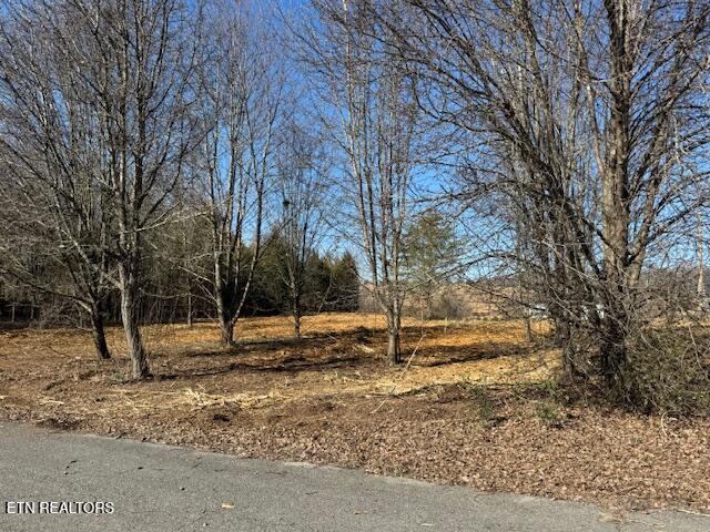 LOT23 Goddard Ln, Dandridge TN, 37725 land for sale