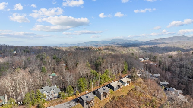 birds eye view of property with a mountain view