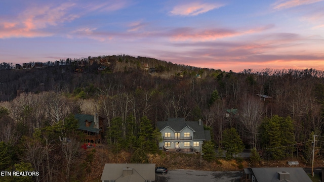 1132 E Foothills Dr, Gatlinburg, TN 37738 - mountain view featuring a forest