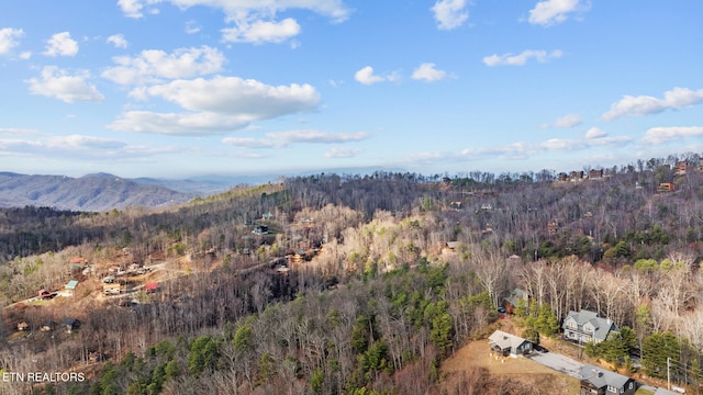 drone / aerial view with a mountain view