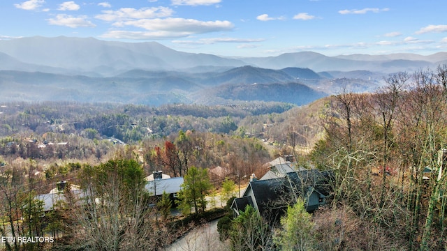1132 E Foothills Dr, Gatlinburg, TN 37738 - view of mountain backdrop