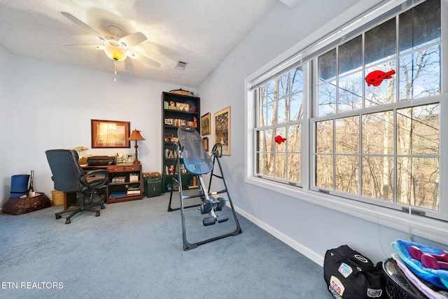 interior space featuring carpet, ceiling fan, and a textured ceiling