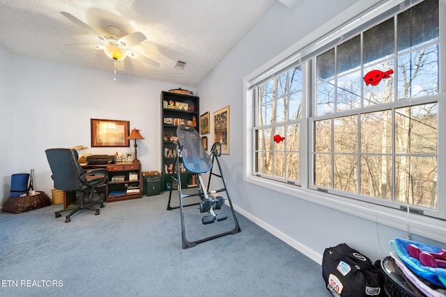 1132 E Foothills Dr, Gatlinburg, TN 37738 - office space with carpet flooring and a ceiling fan