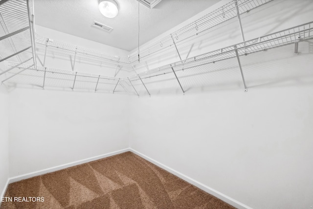 walk in closet with carpet flooring