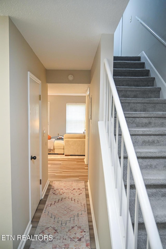 stairway with wood-type flooring