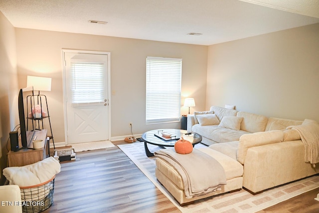 living room featuring a wealth of natural light and wood-type flooring